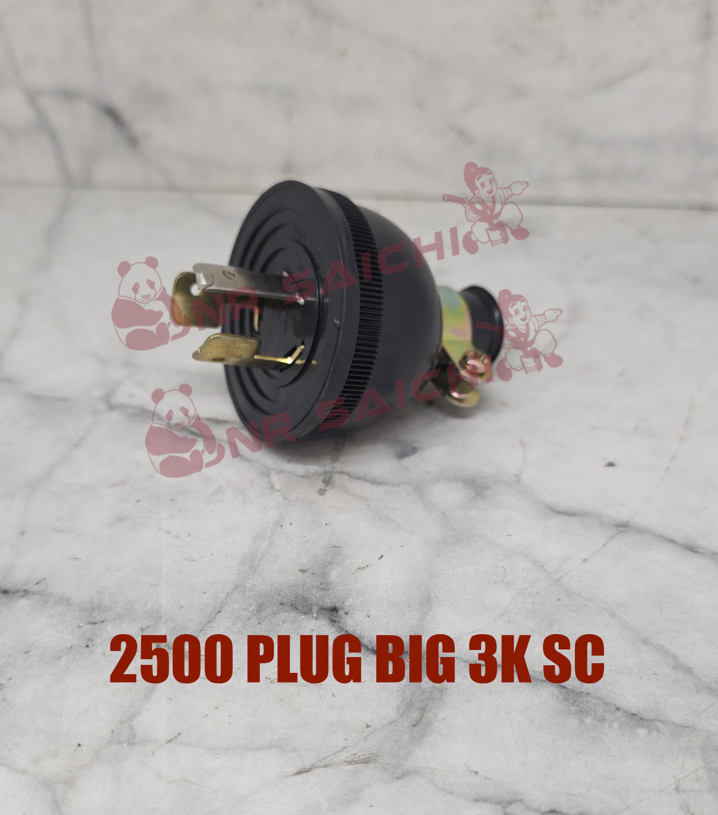 2500          PLUG  (GNRTR)  BIG  3K  SC