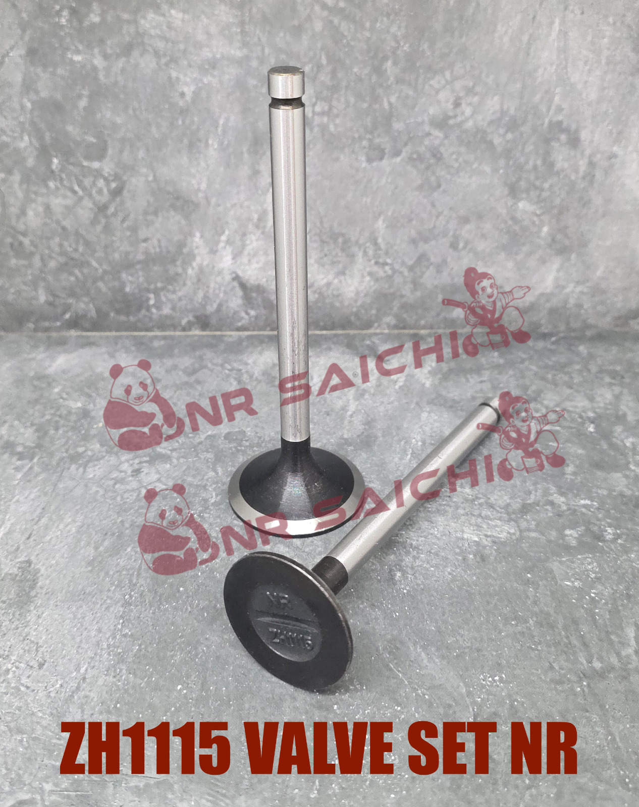 ZH1115       VALVE SET NR