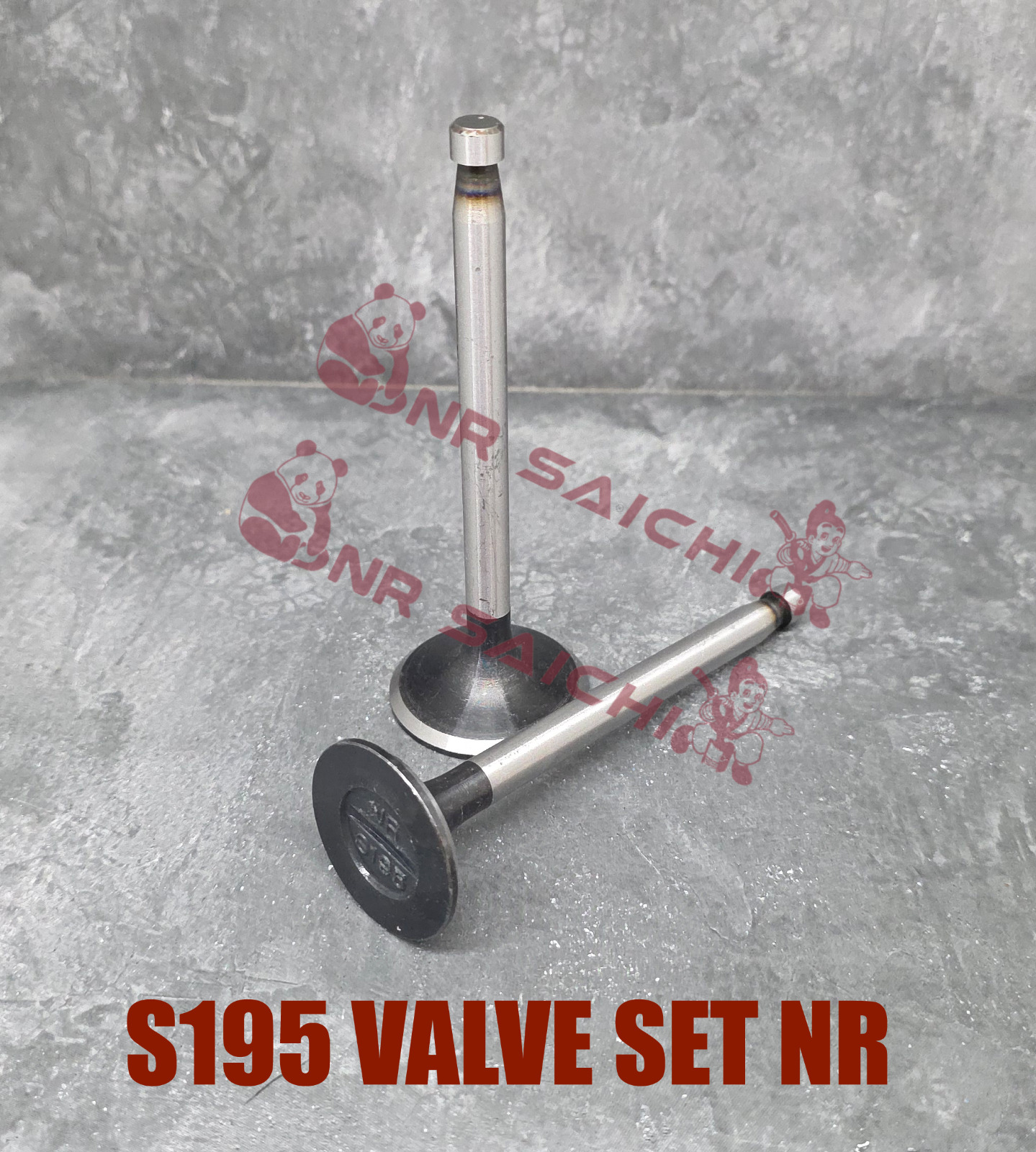 S195 - S1100  VALVE SET NR