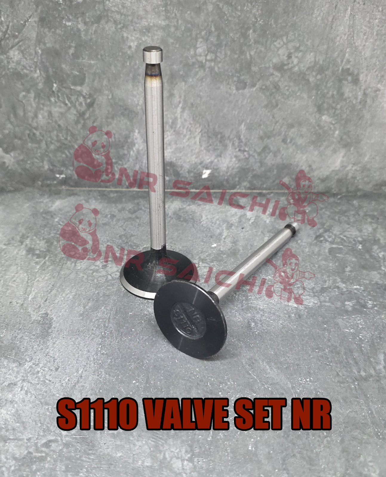 S1110         VALVE SET NR